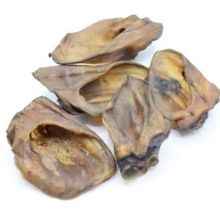 Bark-Bite Bark-Bite Wilde Zwijnenoren – 10 Stuks