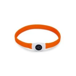Beeztees Brede LED Halsband Hond - Verstelbaar - 65 X 2.5 Cm - Oranje - Lichtgevende Halsband