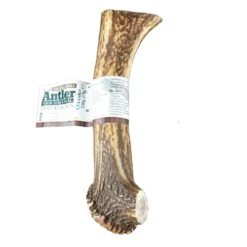 Highland Antler Hertengewei - Edelhert Extra Large - 221-270 Gram
