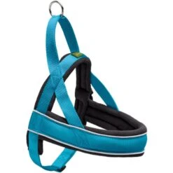 Hunter Hunter Harness Norweger Racing - Petrol-Zwart -Honden Benodigdheden Korting hunter hunter harness norweger racing petrol zwart 5