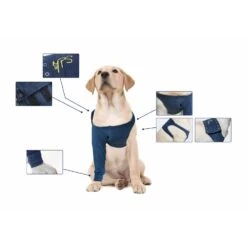 MPS Medical Pet Shirt TAZ Front Leg - 1 Stuk 19 MPS Medical Pet Shirt TAZ Front Leg - 1 Stuk -Honden Benodigdheden Korting mps medical pet shirt taz front leg 1 stuk 7