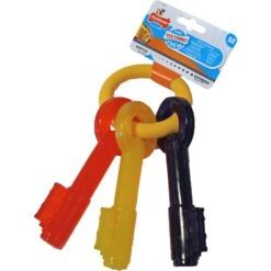 Nylabone Nylabone Puppy Chew Teething Key M