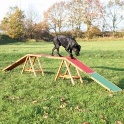 Trixie Trixie Agility Brug - 456x64x30 Cm - Tot 80 Kilo