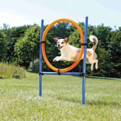 Trixie Trixie Agility Fun Ring - 115 × ø 3 Cm, ø 65 Cm