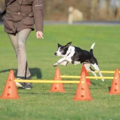 Trixie Trixie Agility Hordenset -Honden Benodigdheden Korting trixie trixie agility hordenset 2